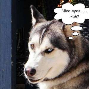 dotskindle-coverart-sm